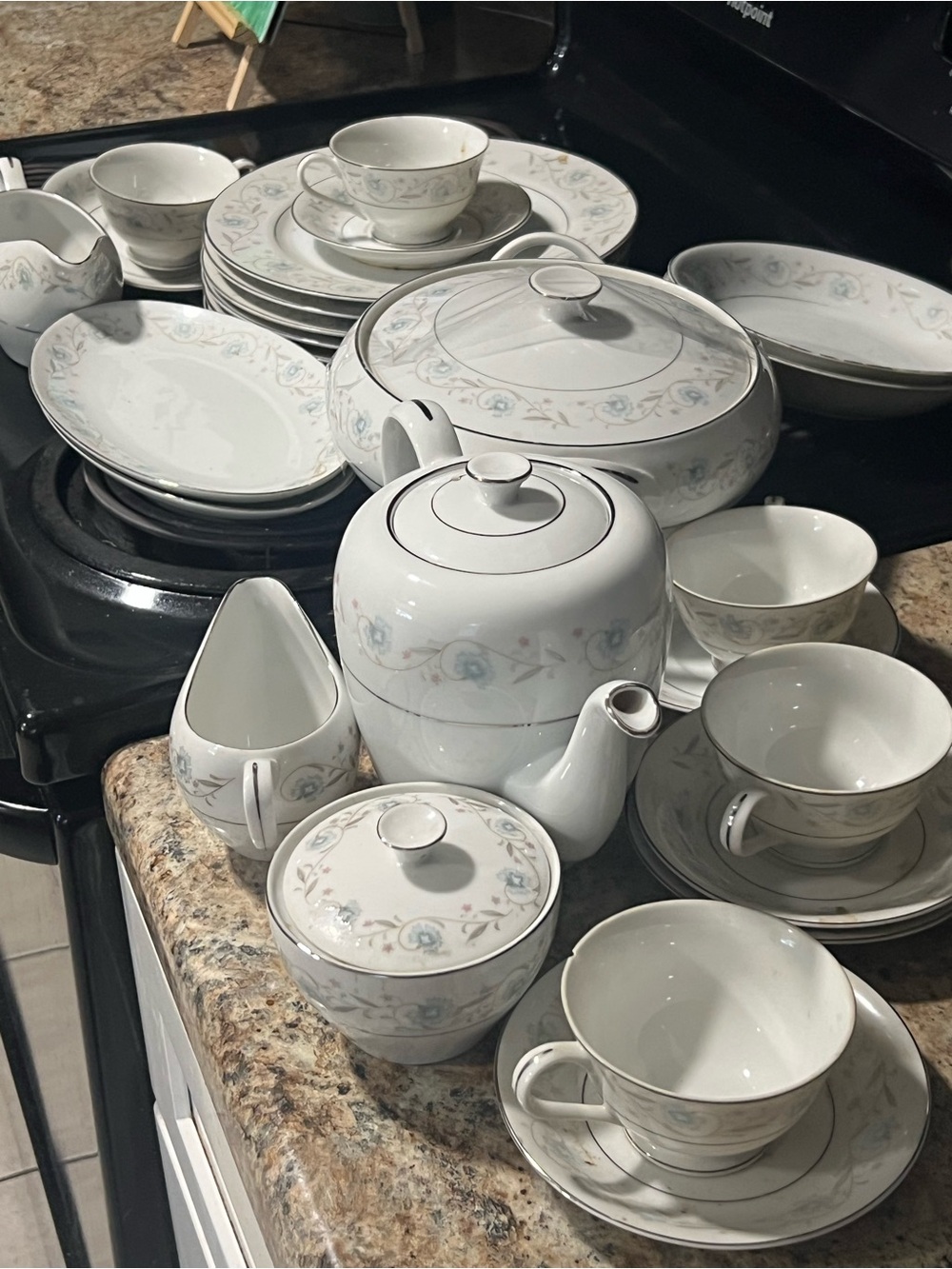 English Garden fine china huge set